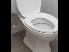 Šta kada otpadne ručka na vratima WC šolje?